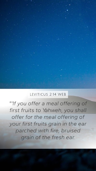 Leviticus 2:14 WEB Bible Verse Image