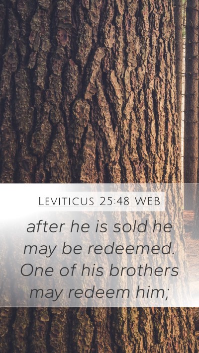 Leviticus 25:48 WEB Mobile Phone Wallpaper - after he is sold he may be redeemed. One of his - Mobile Bible Verse Wallpaper