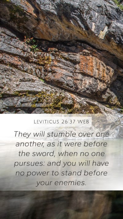Leviticus 26:37 WEB Bible Verse Image