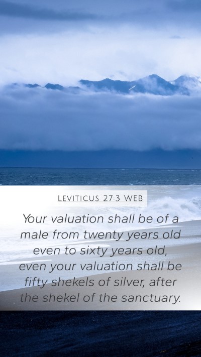 Leviticus 27:3 WEB Mobile Phone Wallpaper - Your valuation shall be of a male from twenty - Mobile Bible Verse Wallpaper