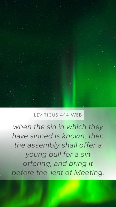 Leviticus 4:14 WEB Bible Verse Image