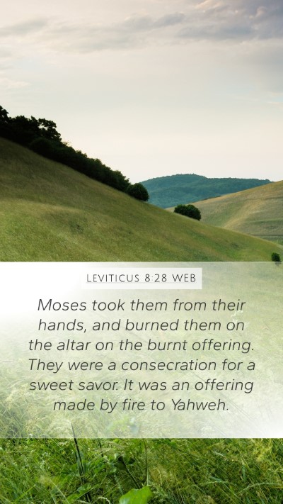Leviticus 8:28 WEB Mobile Phone Wallpaper - Moses took them from their hands, and burned them - Mobile Bible Verse Wallpaper