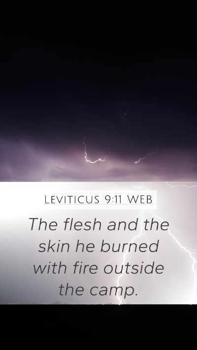 Leviticus 9:11 WEB Mobile Phone Wallpaper - The flesh and the skin he burned with fire - Mobile Bible Verse Wallpaper