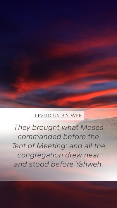 Leviticus 9:5 WEB Mobile Phone Wallpaper - They brought what Moses commanded before the Tent - Mobile Bible Verse Wallpaper