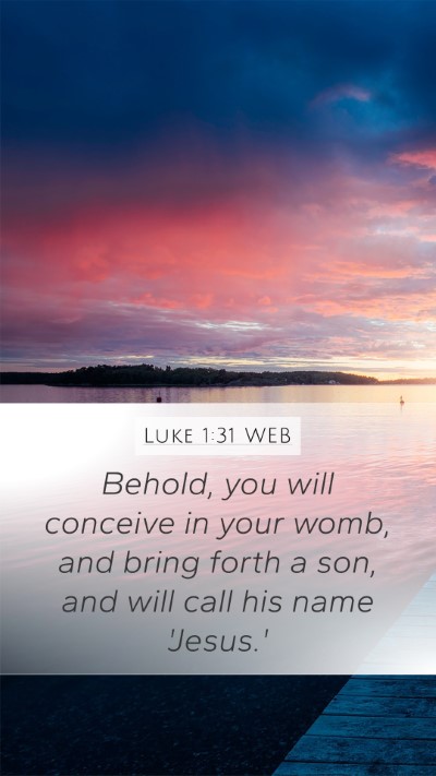 Luke 1:31 WEB Bible Verse Image