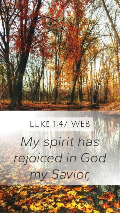 Luke 1:47 WEB Bible Verse Image