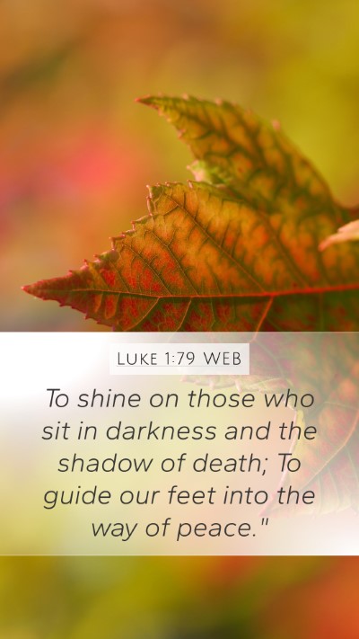Luke 1:79 WEB Bible Verse Image