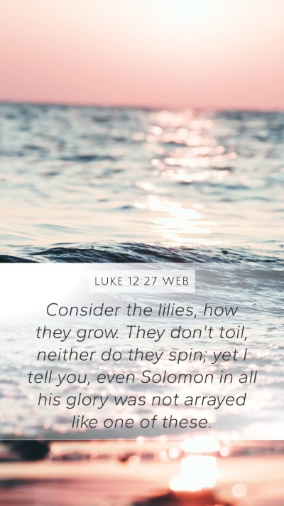 Luke 12:27 WEB Bible Verse Image