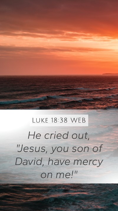 Luke 18:38 WEB Mobile Phone Wallpaper - He cried out, 