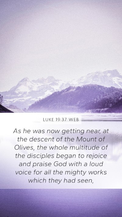 Luke 19:37 WEB Bible Verse Image