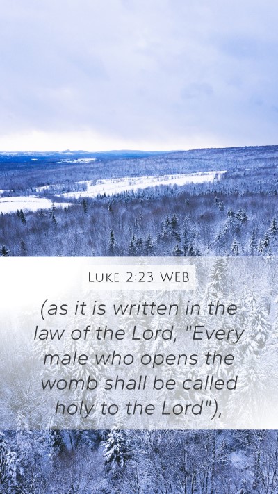 Luke 2:23 WEB Bible Verse Image
