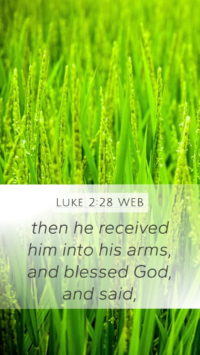 Luke 2:28 WEB Bible Verse Image