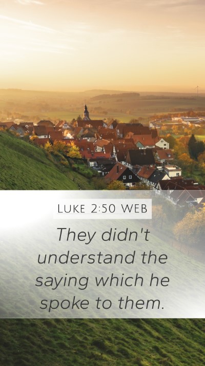 Luke 2:50 WEB Bible Verse Image
