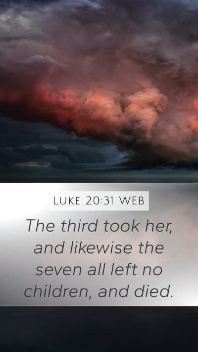 Luke 20:31 WEB Mobile Phone Wallpaper - The third took her, and likewise the seven all - Mobile Bible Verse Wallpaper