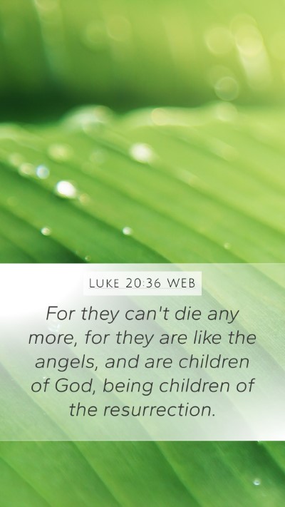 Luke 20:36 WEB Mobile Phone Wallpaper - For they can't die any more, for they are like - Mobile Bible Verse Wallpaper