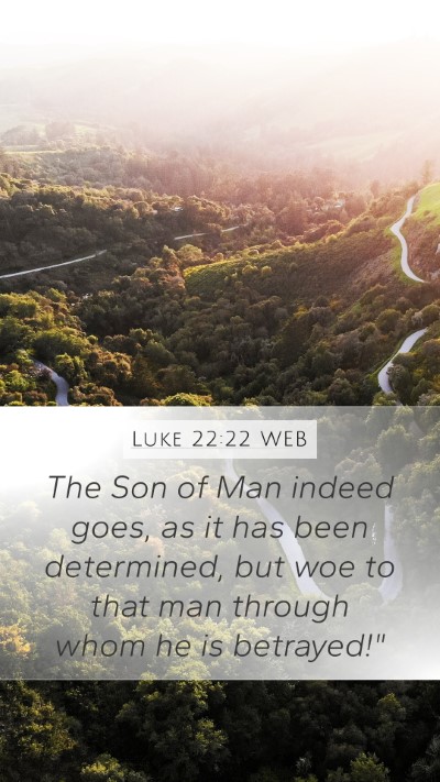 Luke 22:22 WEB Bible Verse Image