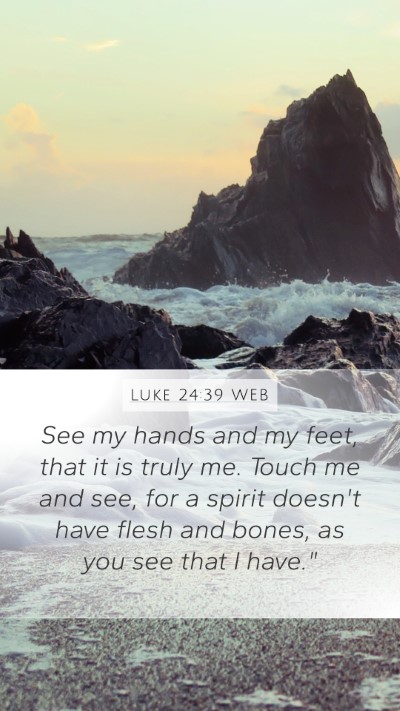 Luke 24:39 WEB Bible Verse Image