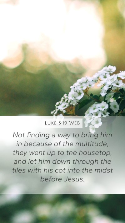 Luke 5:19 WEB Bible Verse Image