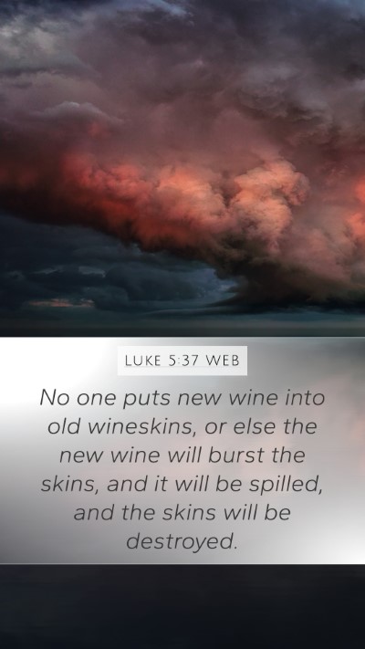 Luke 5:37 WEB Bible Verse Image