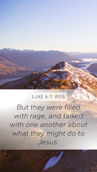 Luke 6:11 WEB Mobile Phone Wallpaper - But they were filled with rage, and talked with - Mobile Bible Verse Wallpaper