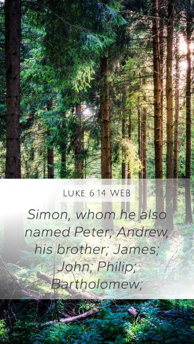 Luke 6:14 WEB Bible Verse Image