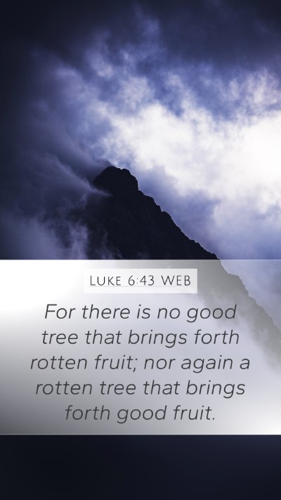 Luke 6:43 WEB Bible Verse Image