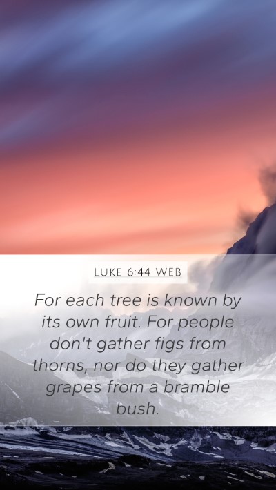 Luke 6:44 WEB Bible Verse Image
