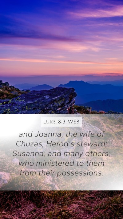 Luke 8:3 WEB Bible Verse Image