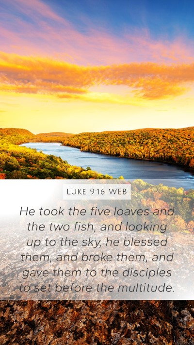 Luke 9:16 WEB Mobile Phone Wallpaper - He took the five loaves and the two fish, and - Mobile Bible Verse Wallpaper