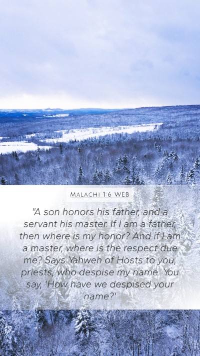 Malachi 1:6 WEB Bible Verse Image