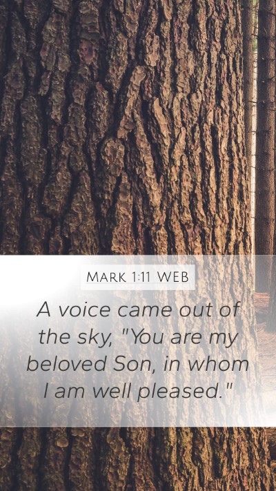 Mark 1:11 WEB Bible Verse Image