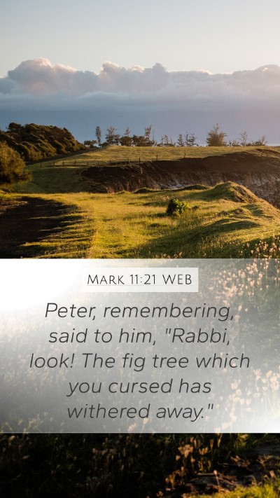 Mark 11:21 WEB Mobile Phone Wallpaper - Peter, remembering, said to him, 