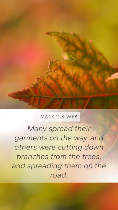 Mark 11:8 WEB Mobile Phone Wallpaper - Many spread their garments on the way, and others - Mobile Bible Verse Wallpaper