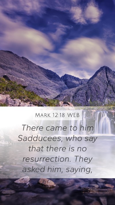 Mark 12:18 WEB Bible Verse Image
