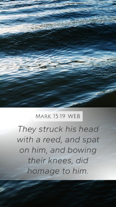 Mark 15:19 WEB Bible Verse Image