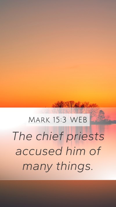 Mark 15:3 WEB Bible Verse Image