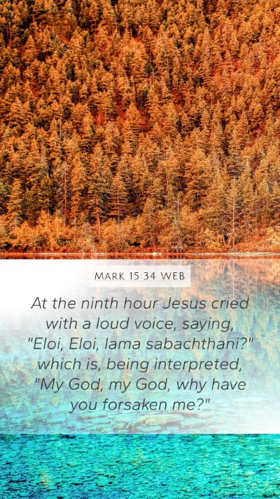 Mark 15:34 WEB Bible Verse Image