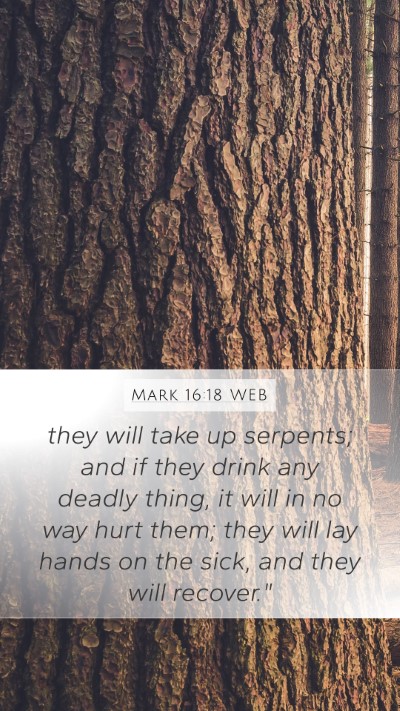 Mark 16:18 WEB Bible Verse Image