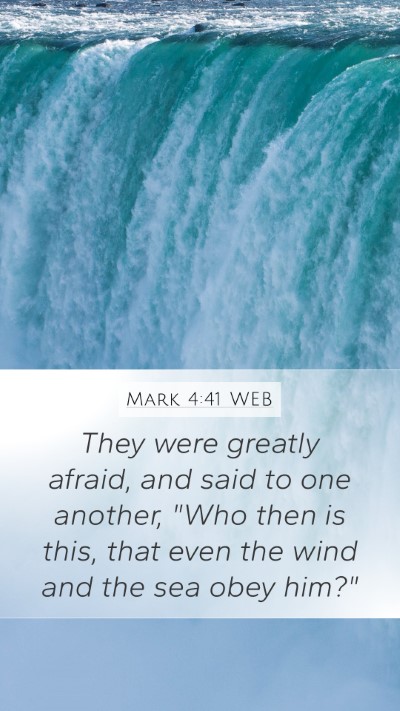 Mark 4:41 WEB Bible Verse Image