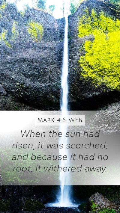 Mark 4:6 WEB Mobile Phone Wallpaper - When the sun had risen, it was scorched; and - Mobile Bible Verse Wallpaper