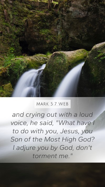 Mark 5:7 WEB Bible Verse Image