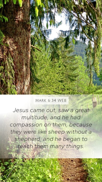 Mark 6:34 WEB Bible Verse Image
