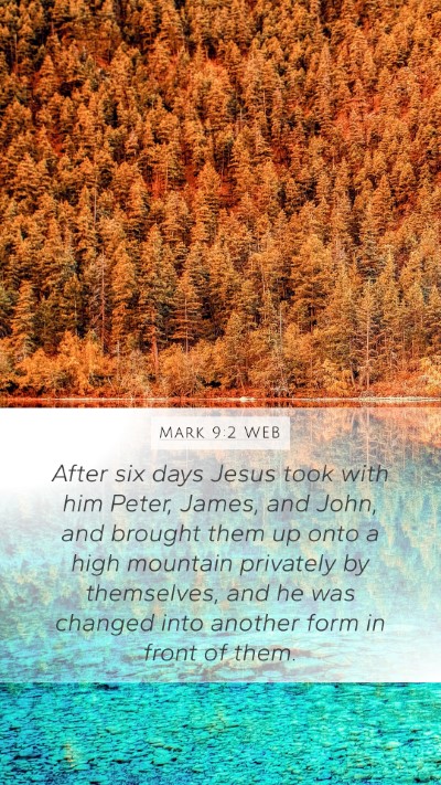 Mark 9:2 WEB Bible Verse Image