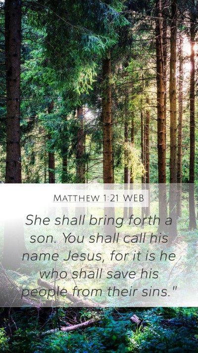 Matthew 1:21 WEB Bible Verse Image