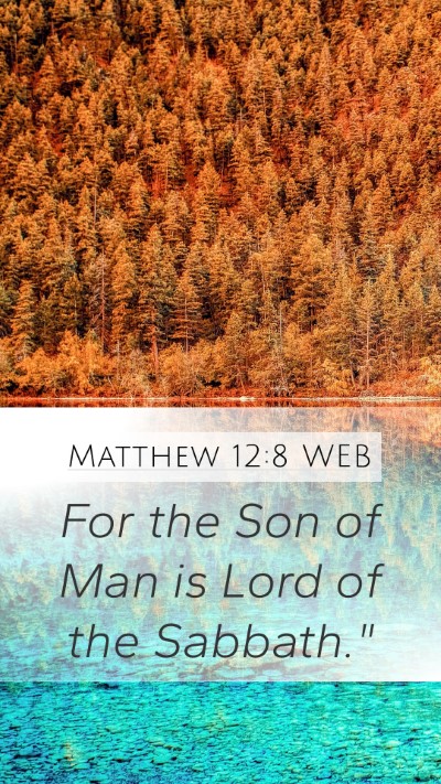 Matthew 12:8 WEB Bible Verse Image