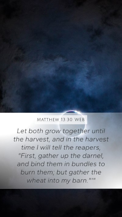 Matthew 13:30 WEB Mobile Phone Wallpaper - Let both grow together until the harvest, and in - Mobile Bible Verse Wallpaper