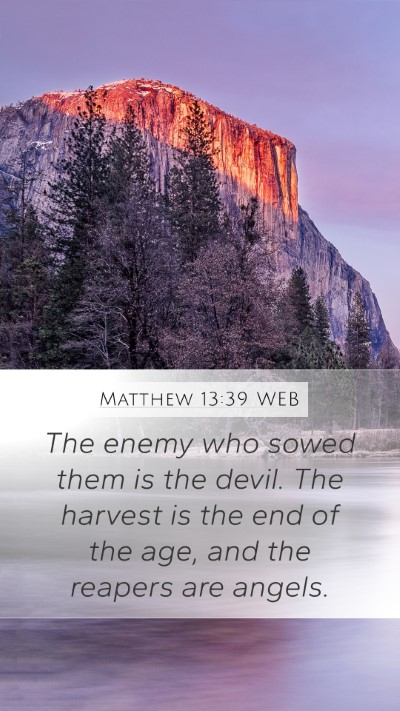 Matthew 13:39 WEB Bible Verse Image