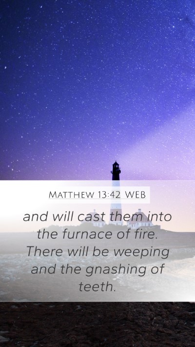 Matthew 13:42 WEB Bible Verse Image