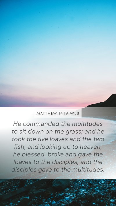 Matthew 14:19 WEB Bible Verse Image
