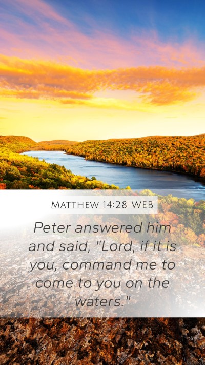 Matthew 14:28 WEB Bible Verse Image